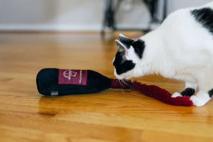 Cat creeping up to sniff the P.L.A.Y. Feline Frenzy Catbernet Sauv Kicker Toy on a wooden floor