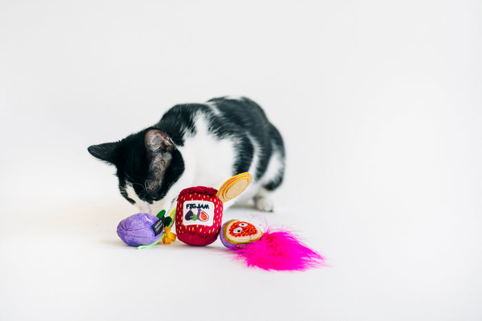 A black and white cat sniffing P.L.A.Y. Feline Frenzy Fig N’ Whiskers Toy Set on a white background