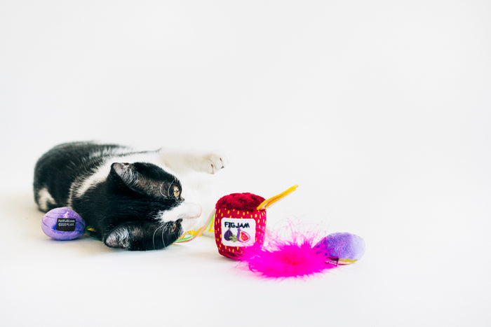 A black and white cat lying on its side playing with P.L.A.Y. Feline Frenzy Fig N’ Whiskers Toy Set on a white background