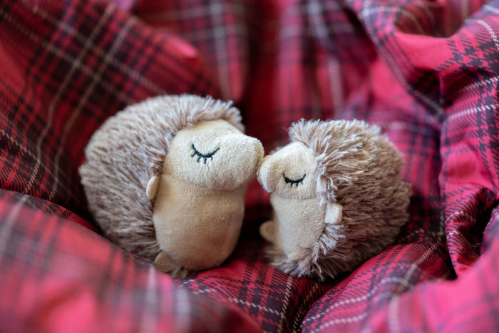 Feline Frenzy Forest Friends Collection - Mama and Chip Hedgehog Toy Set - nose-to-nose in plaid blanket