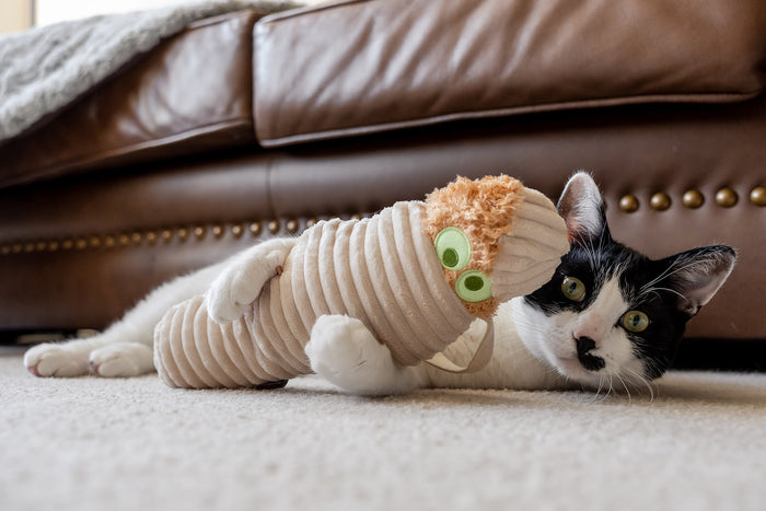P.L.A.Y. Feline Frenzy Halloween Kicker Toy - Meow-my in paws of black and white kitty laying on the floor