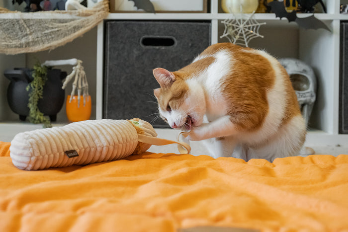 P.L.A.Y. Feline Frenzy Halloween Kicker Toy - Meow-my string unraveled and being bitten by ginger kitty