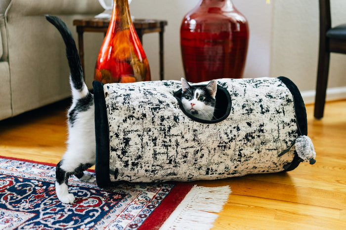 A black-and-white cat walking through a Feline Frenzy Purr & Pounce Cat Tunnel toy in Black Celestial print, poking its head out of the peephole, set on a patterned rug in a living room with wooden floors and decorative vases.