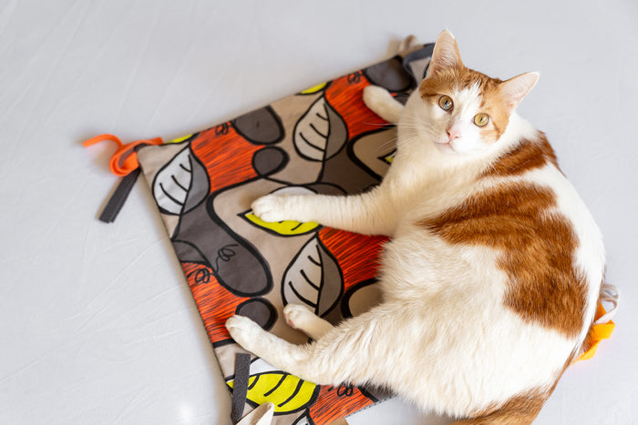 P.L.A.Y. Feline Frenzy Purrfect Playtime Mat - ginger cat sitting on top of the mat staring into the camera