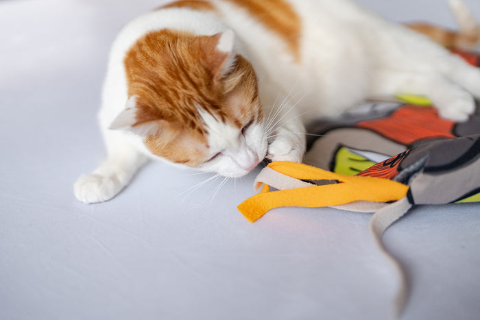 P.L.A.Y. Feline Frenzy Purrfect Playtime Mat - ginger cat playing with the dangling strings