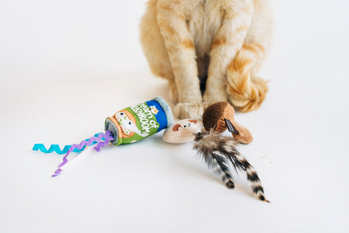 P.L.A.Y. Feline Frenzy Purrfectly Fungi toy set with all three toys sitting in front of ginger cat's paws on a white background