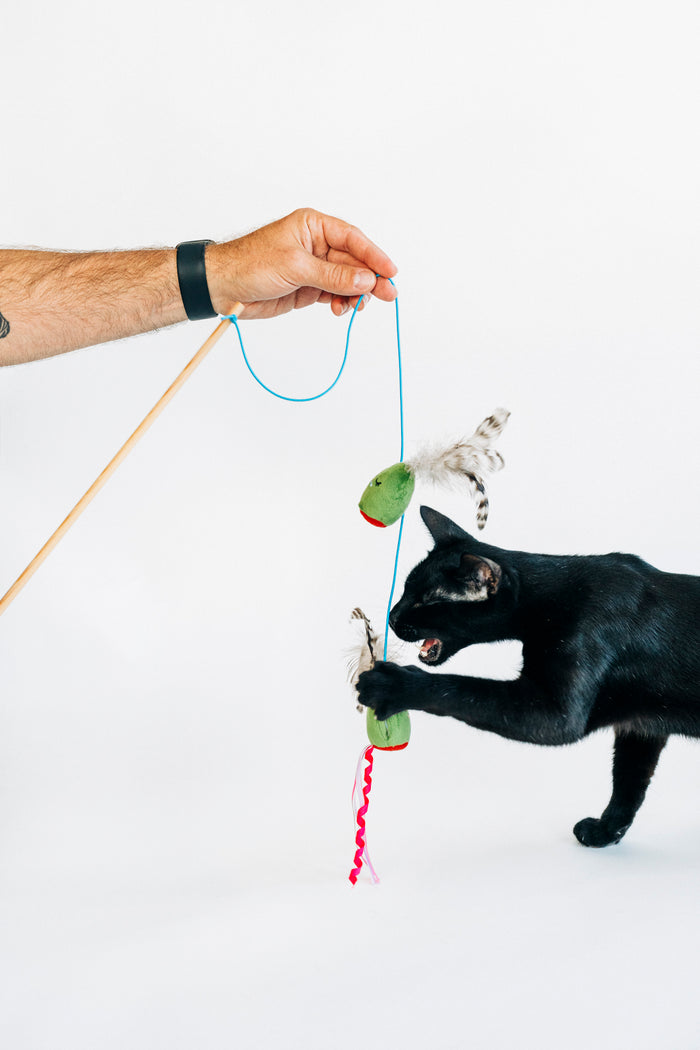 Person holding the P.L.A.Y. Purrfectly Pitted Wand Toy in their hand while a black cat claws and bites the olive on a white background