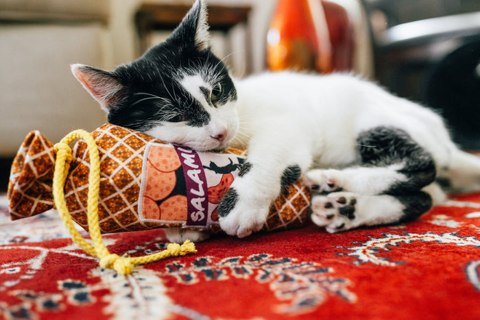 A cat playing with P.L.A.Y. Feline Frenzy Salami Slammer Kicker Toyon a red patterned rug