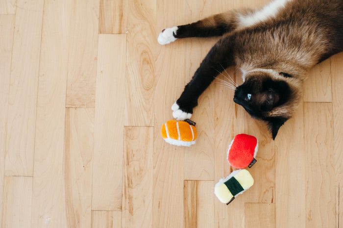 P.L.A.Y. Feline Frenzy Sassy Sushi Toy Set - lifestyle image with cat laying on a hardwood floor pawing at the orange roll with other two closeby