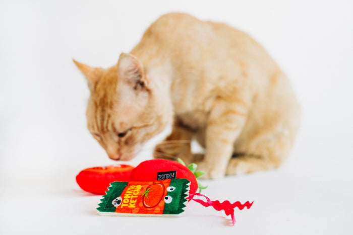 A ginger cat sniffing P.L.A.Y. Feline Frenzy Toma-toe Beans toy set on a white background