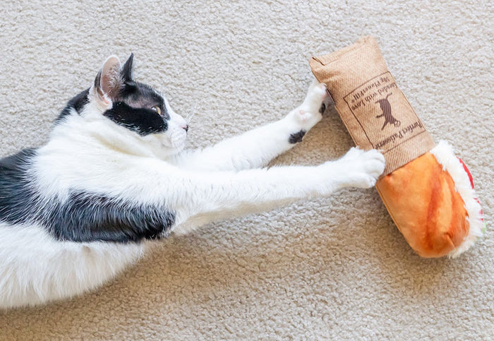 P.L.A.Y. Feline Frenzy Kicker - Tuna Baguette Toy being reached out to by a black and white cat on the carpet