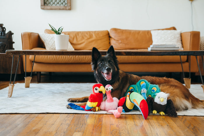Gallery: Fetching Flock Toy Set PY7088AUF