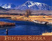 Fish The Sierra Magnet