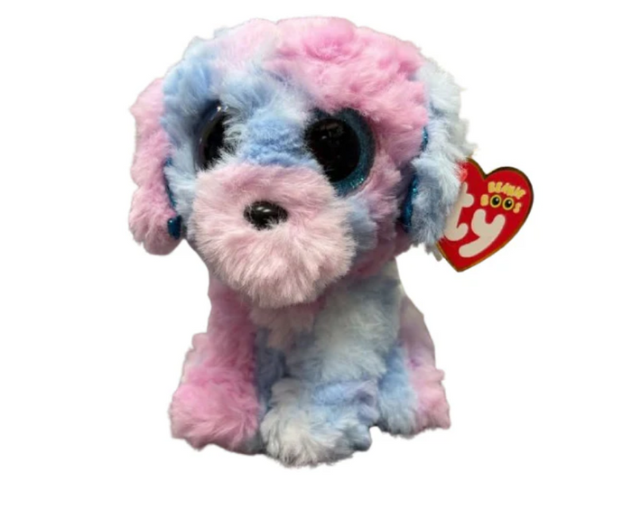 FLORA - poodle multi reg