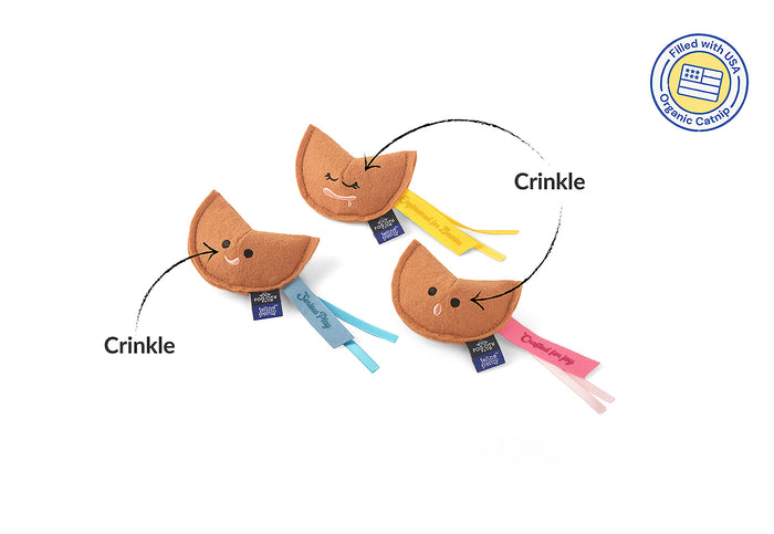A Fog City Pet x Feline Frenzy Fortune Whiskers catnip toy with crinkle sound pointed out on a white background