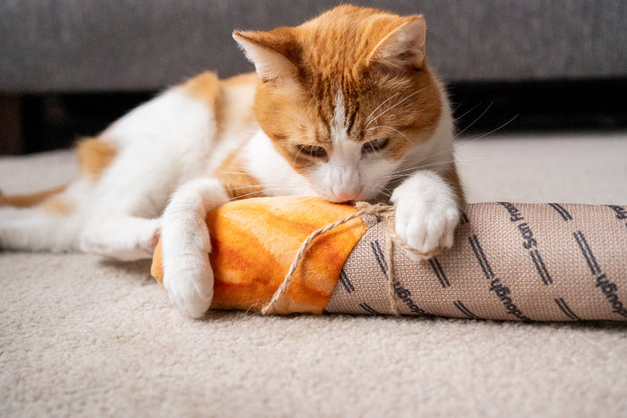 Cat playing with the Feline Frenzy Fog City Pet x P.L.A.Y. Fur-mented Loaf Kicker Toy on a carpeted floor.