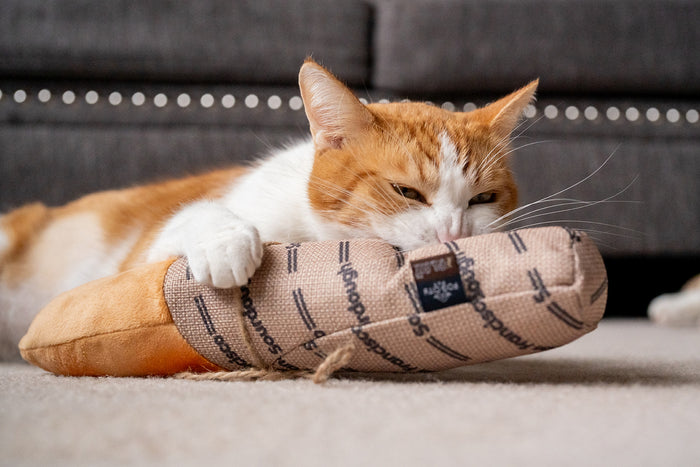 Ginger cat hugging the Feline Frenzy Fog City Pet x P.L.A.Y. Fur-mented Loaf Kicker Toy with front paws with an amusing look on its face