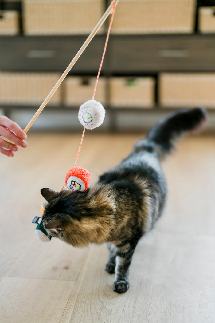 A cat playing with a sushi roll on a string,   called the Fog City Pet x Feline Frenzy Roll With It Wand, on a wooden floor.