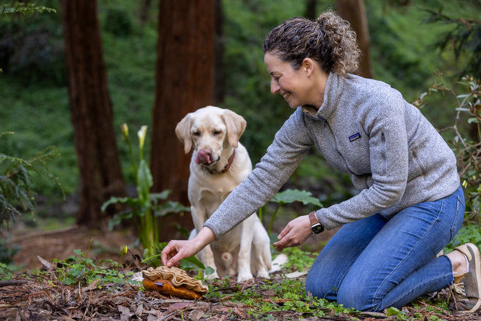 A dog in the woods with dog mom, while she places treats into top cap of the Fog City Pet x P.L.A.Y. Fun-guy toy