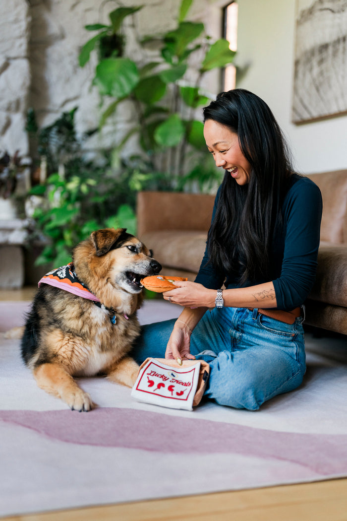 Dog mom sitting on the floor with a dog, holding a fortune cookie dog toy for her pup from the Fog City Pet x Play Lucky Treats toy in a home setting.