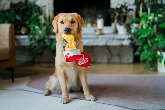 Dog holding a Fog City Pet x Play Pup of Soup dog toy in its mouth in a living room.