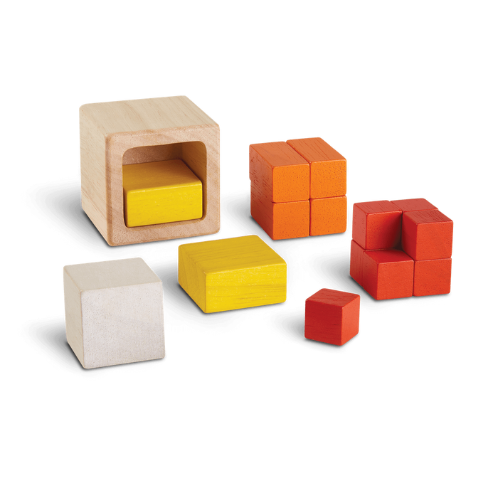 Fraction Cubes - Babies in Bloom