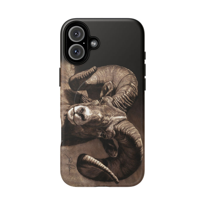 iPhone 16 Plus / Matte