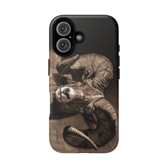 iPhone 16 / Matte
