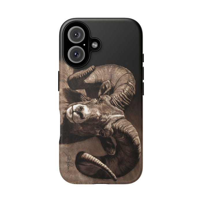 iPhone 16 / Matte