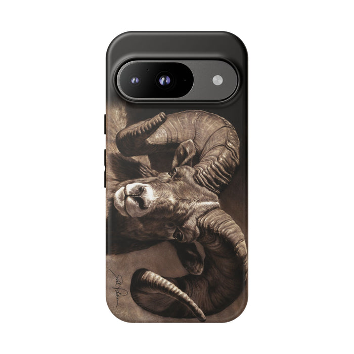 Google Pixel 9 / Matte