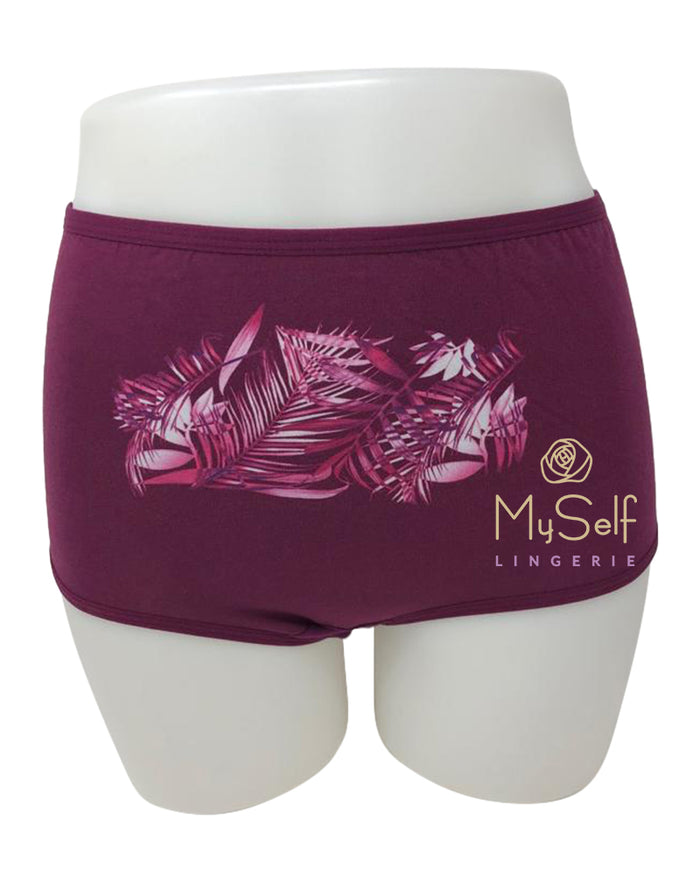 Gemsli 3314 Feathers Briefs 3 Pack myselflingerie.com