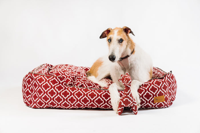 Dog lying on a P.L.A.Y. Moroccan Lounge Bed in Marsala with matching P.L.A.Y. Upcycled Zoo Pal Giraffe plush toy against a white background