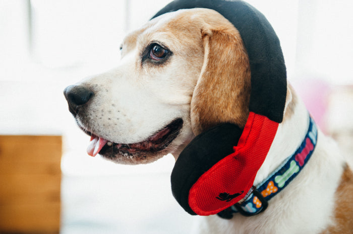 Gallery: Globetrotter Headphones Toy PY7048BSF