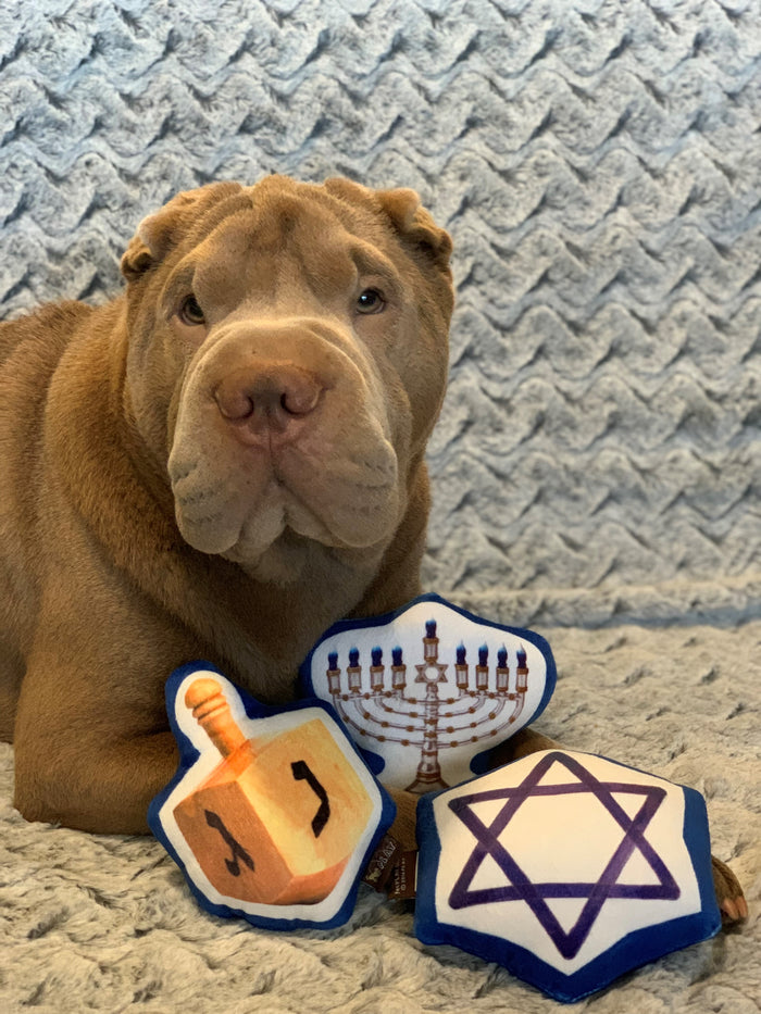 Gallery: Hanukkah Plush Toy Set PY7023AUF