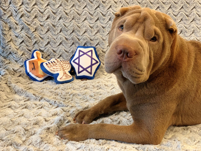 Gallery: Hanukkah Plush Toy Set PY7023AUF