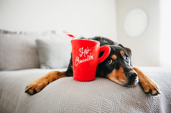 Holiday Classic Collection by P.L.A.Y. - Ho Ho Ho Hot Chocolate Toy on bed with big beautiful dog laying down looking at it