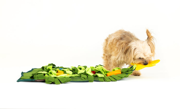 P.L.A.Y. Holiday Snuffle Mat - little fluffy dog biting the star of the Christmas Tree mat