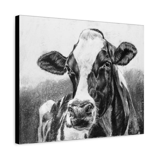 "Holstein" Stretched Canvas