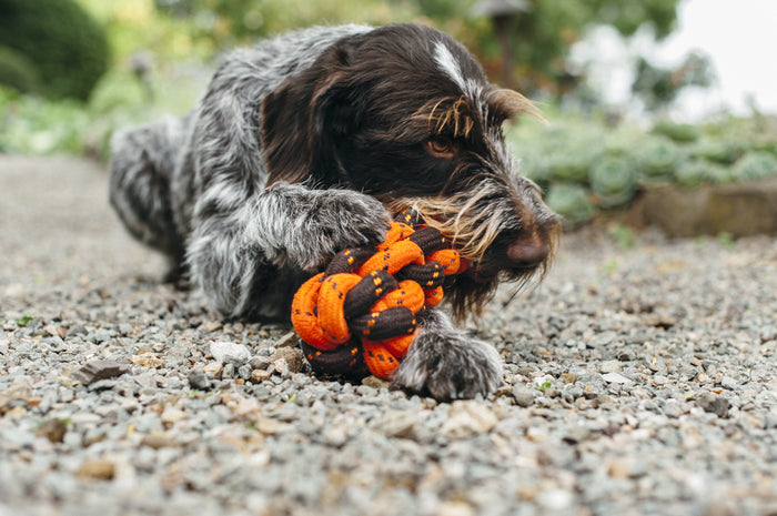 Gallery: Honeycomb Rope Toy PY7081ASF