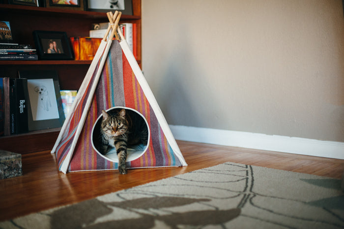 Gallery: Horizon Pet Teepee PY6011AUF