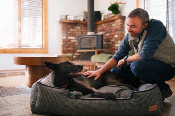 Houndstooth Lounge Bed in Shadow Gray with beautiful black dog laying in it smiling up at dog dad as he pets her