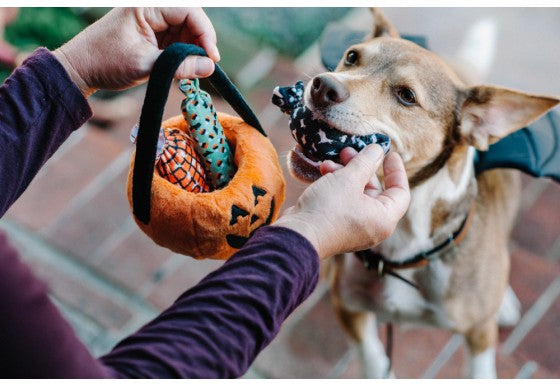 Howl-o-ween Treat Basket