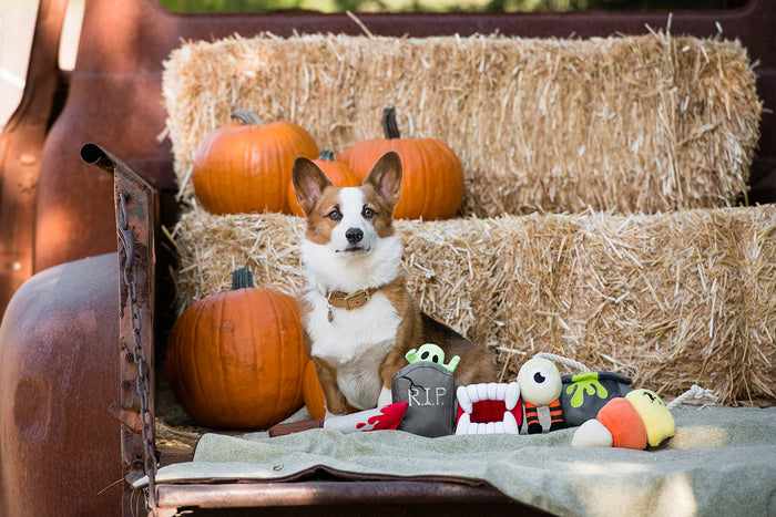 Gallery: Howling Haunts Plush Toy Set PY7092AUF
