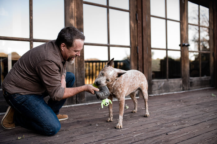 P.L.A.Y. Howling Haunts Collection - Gloulish Grave Toy dog parent and dog playing with toy outside on a wooden deck