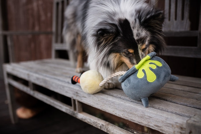 P.L.A.Y. Howling Haunts Colletion - Pup's Potion Toy on a wooden bench with dog nosing inside the cauldron