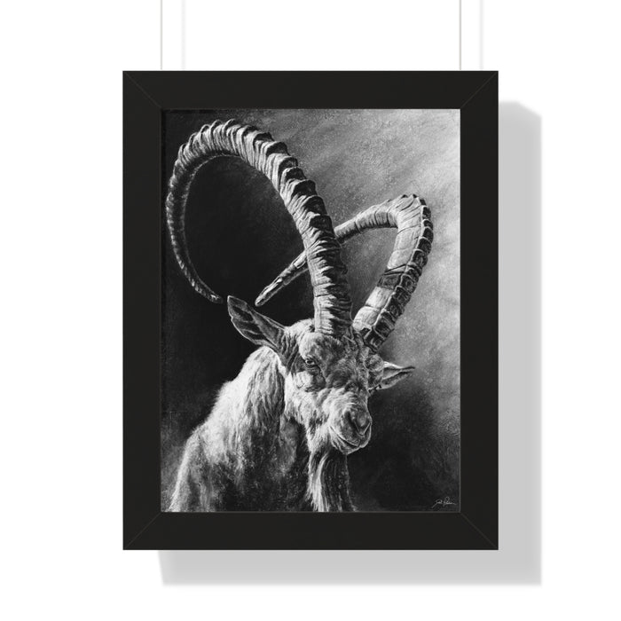 "Ibex" Framed Paper Print