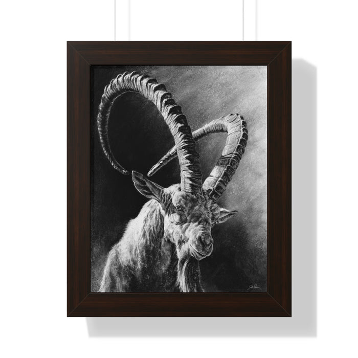 "Ibex" Framed Paper Print