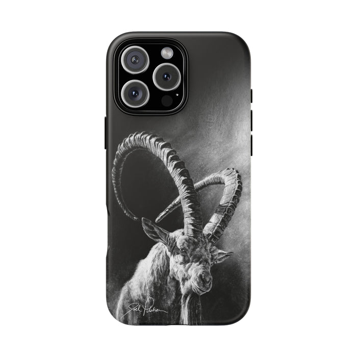 iPhone 16 Pro Max / Matte