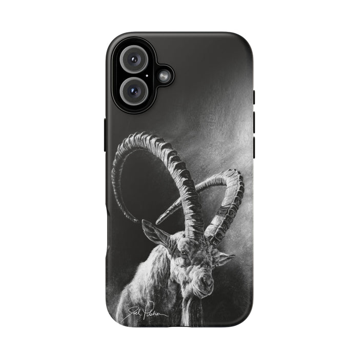 iPhone 16 Plus / Matte