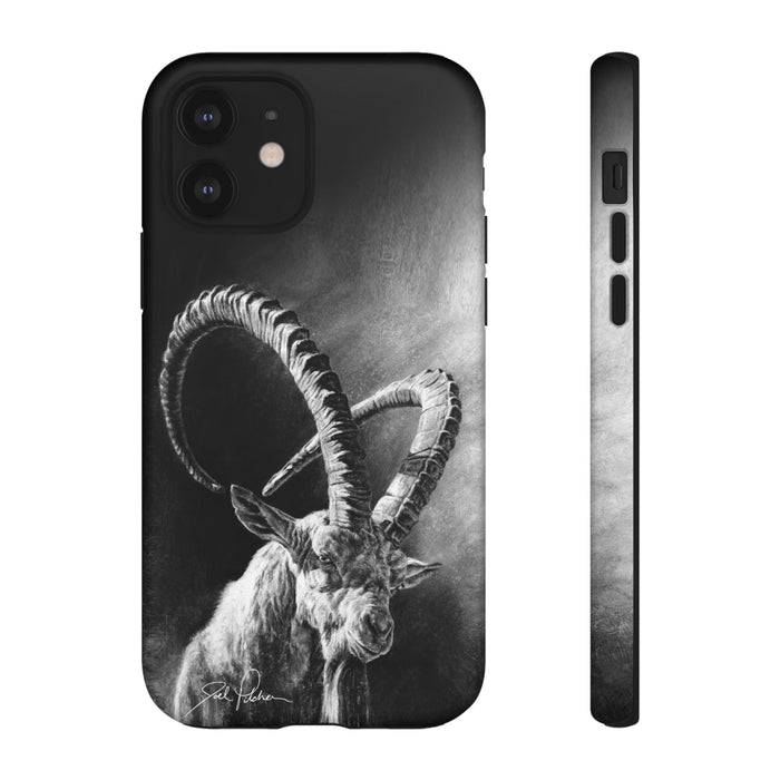 iPhone 12 / Matte